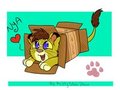 Twilight Slidding into a box! by Stitchy626