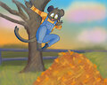 Nighty Jumping Into Leaves by Nightwalker