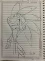 Very stilish Jet the Hawk