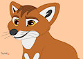 Meet Raza the Ethiopian Wolf!