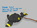 How to take care of your macro Umbreon [3/19] by AlphabetABC