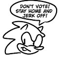 Sonic Says: by PilloTheStar