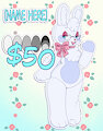 Bunny Plushie Adoptable [SOLD]