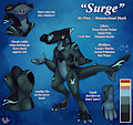 Surge