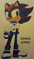 Sunshine The Hedgehog (Reboot Bio) by SonicAnon