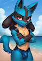 Lucario in a speedo