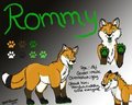 Rommy Character sheet