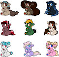 [Adoptables]