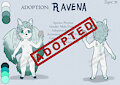 Adoption: Ravena by Liryal