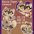 Raccoon Diaper Adoption ♥ (open) by OwlisaAdoptions