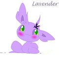 Lavender by Axial