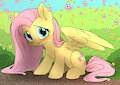 Fluttershy