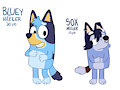 Bluey and Sox