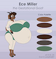 Ece Miller Reference by SatsumaLord