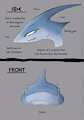 A Study On The Duality of Sharks by SomeDeviantOcelot