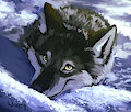 Wolf speedpaint