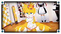 『Tails and Sonic’s First Date』 --Illustration Collection 「3」 by StarDreamOSX