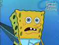 SpongeBob with a scared face - E