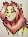 simba by PurpleNightmaren