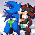 Sonic x Shadow undies by DragonSoul2875