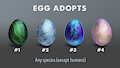 EGG Adopts - Auction (4/4 Open)