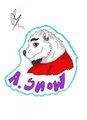 Snow Badge