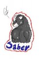 Saber Badge
