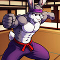 Kung fu Bunny training 1 by Candougie