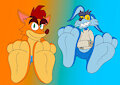 (NMA) Bandicoot and Roo Paws by HarmonyBunny