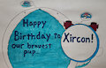 Happy Birthday to our bravest pup... Xircon! by DanXDWolfenburg