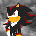 Shadow The Hedgehog by SuperStarBros