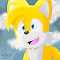 Tails by SilverTyler25