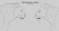 Mufasa & Taka <3 (sketch) by thathornycat