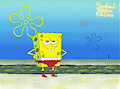 SpongeBob with Adorable Face - E