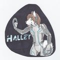 Tron Badge::Hallet