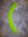 Lime Kitty Tail by LascivusLutra
