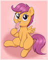 Scootapop