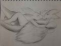 Snuggle 'Vali, in Graphite