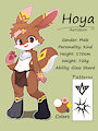 Hoya (Aerideon form) by Hoya82