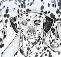 DALMATIAN DOG BUNDLE by NorthernRed