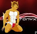 Tonyx by tonyxdingo