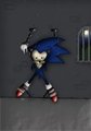 Captured Sonic