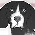 POINTER DOGS (+markings) BUNDLE by NorthernRed