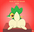 Year of the Snake 2025