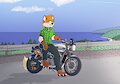 foxymoto by RiskItForTheBiscuit