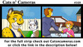 Cats n Cameras Strip #169 - End of the fun