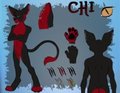 Chi ref Sheet