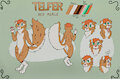 Telfer by Lancel