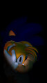 [Request] Sonic & Tails Brotherhood by DarcelTheBunny