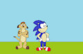 Timon and Sonic by GuyWalrus1996